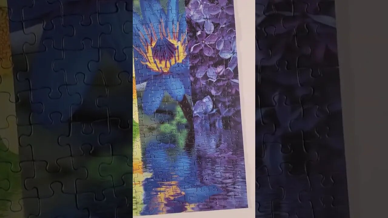 Speed Puzzling Practice Ravensburger #puzzle #shorts #jigsawpuzzles #puzzles
