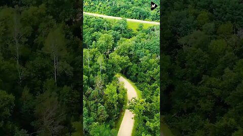 Relaxation Short Videos with Beauty of Nature #shorts #short #shortfeed #nature 13