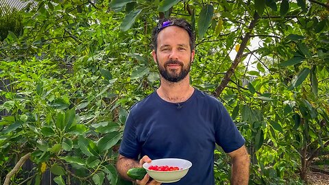 Picking cherry tomatoes and a cucumber to go with dinner