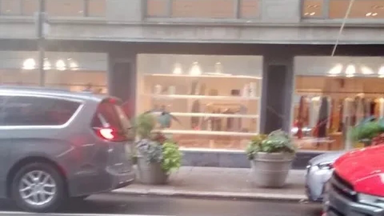 Post-Dog Walk Stroll. Bank & Chocolate 🍫⚡