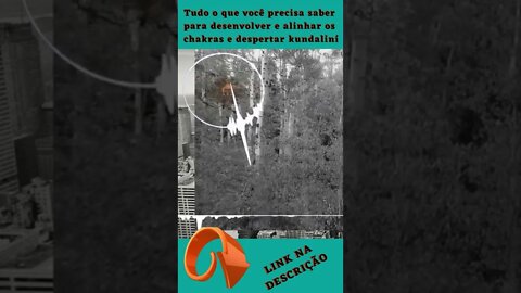 MEDITAÇÃO + VIDA [19] [[ Você pode fazer yoga, porquê te completa ]] #shorts