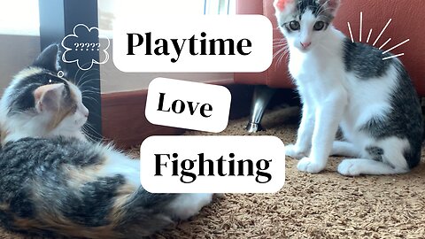 Playtime, Love Fighting (With Dada)