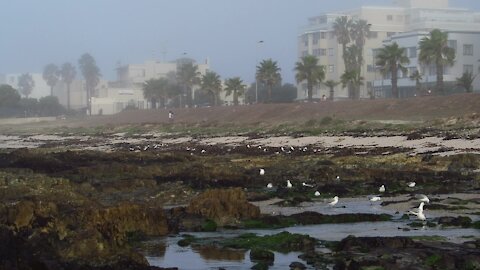 SOUTH AFRICA - Cape Town - Mouille Point standalones (Video) (TBN)