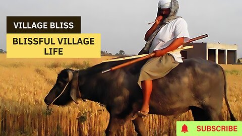 Dive into Village Bliss: Experience Blissful Village Life