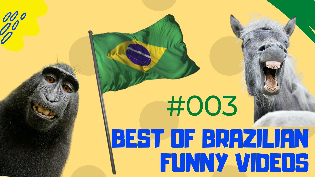 Brazilian Funny Compilation #003 Best Videos