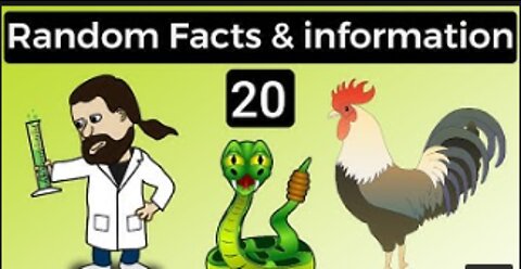Random Facts #1 | Facts & Information