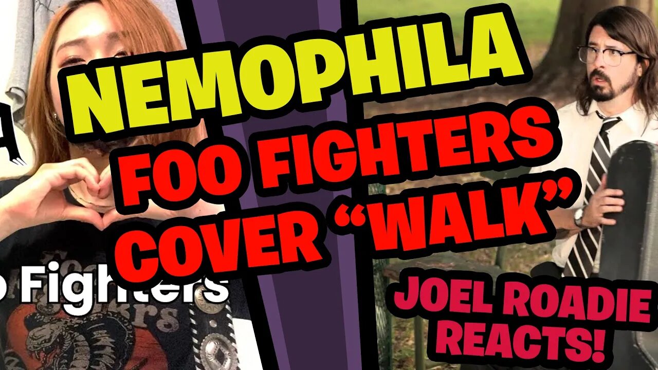 Nemophila - Foo Fighters (WALK) cover - Roadie Reacts