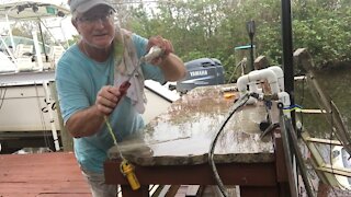 Split tail mullet rigged bait
