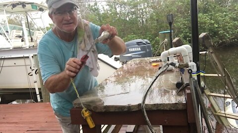 Split tail mullet rigged bait