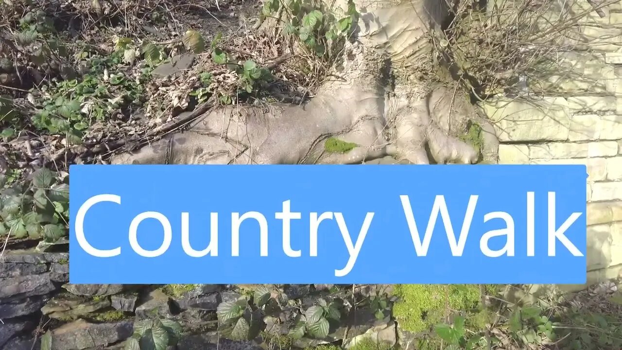 A walk through the woods down to the Huddersfield Narrow Cannel