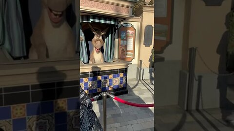 Donkey talks to me