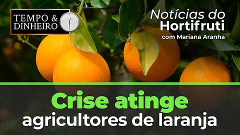 Confira as notícias do Hortifrúti, Crise atinge agricultores de laranja.