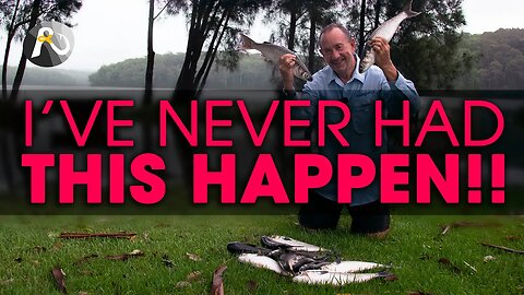You'll NEVER Believe How I Got These Fish...