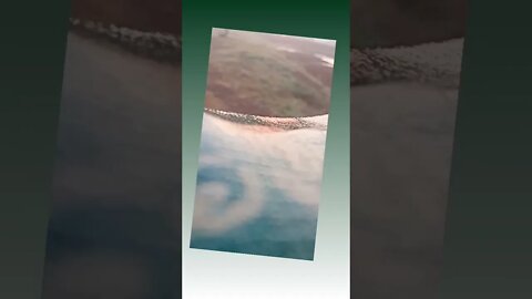 Today #morningvideo to #sunvideo and #shortvideo sut on #iphone13promax #instagram #reel #like andyo