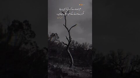 Insan ki bykadri | Best islamic status
