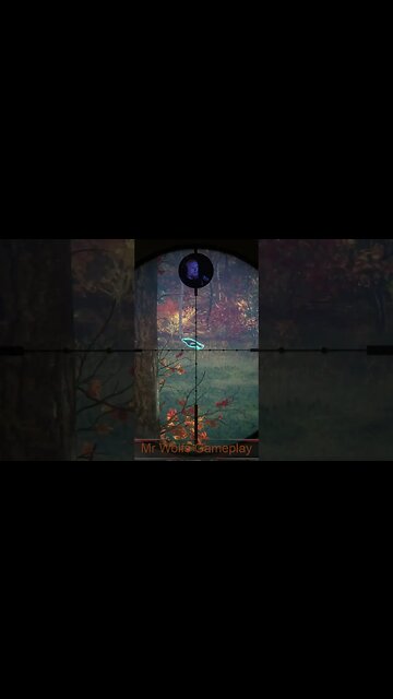 Super Bird #callofthewild #cotw #game #mrandmrswolfgaming #shorts