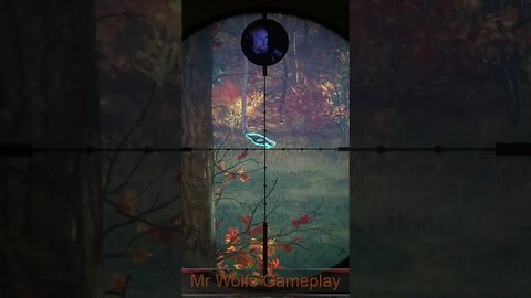 Super Bird #callofthewild #cotw #game #mrandmrswolfgaming #shorts