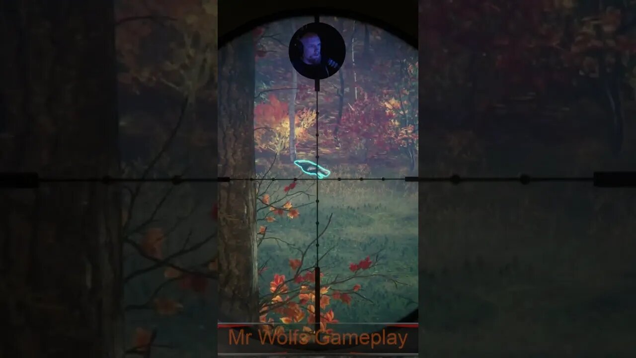 Super Bird #callofthewild #cotw #game #mrandmrswolfgaming #shorts