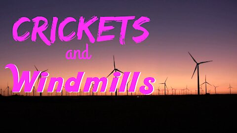 Crickets and Windmills | 15 Minutes of Twilight | Ambient Sound | What Else Is There?