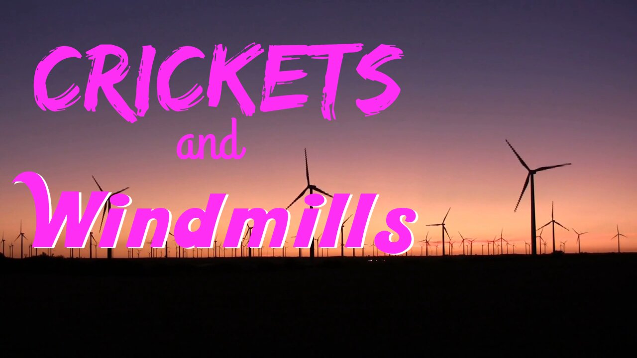 Crickets and Windmills | 15 Minutes of Twilight | Ambient Sound | What Else Is There?