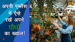 वेकेशन के समय पौधो को जीवित और खुश कैसे रखे *
