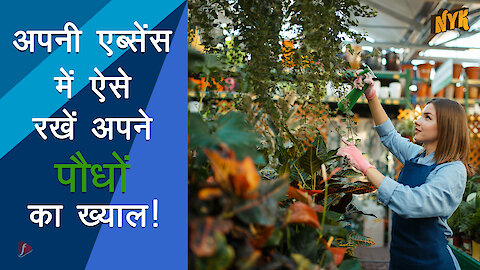 वेकेशन के समय पौधो को जीवित और खुश कैसे रखे *