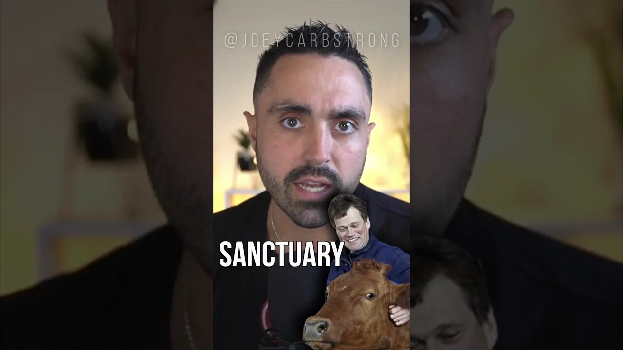 Farmers love their cows, right??