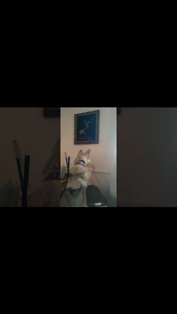 how did you get a hole in the plaster?