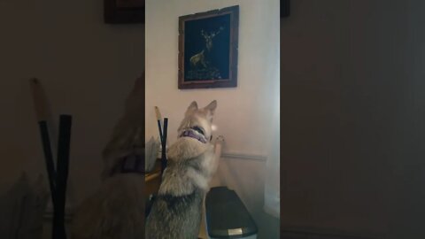 how did you get a hole in the plaster?