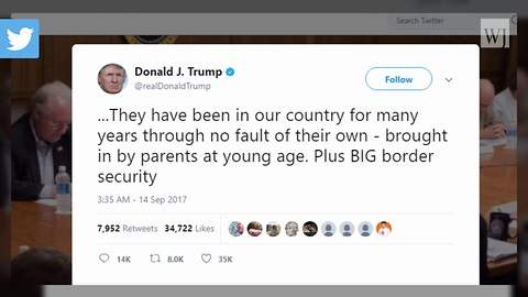 President Trump DACA Tweets