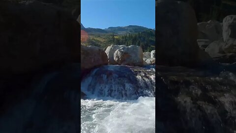 Relaxing small river Canada #shorts #soothing #nature #relaxing