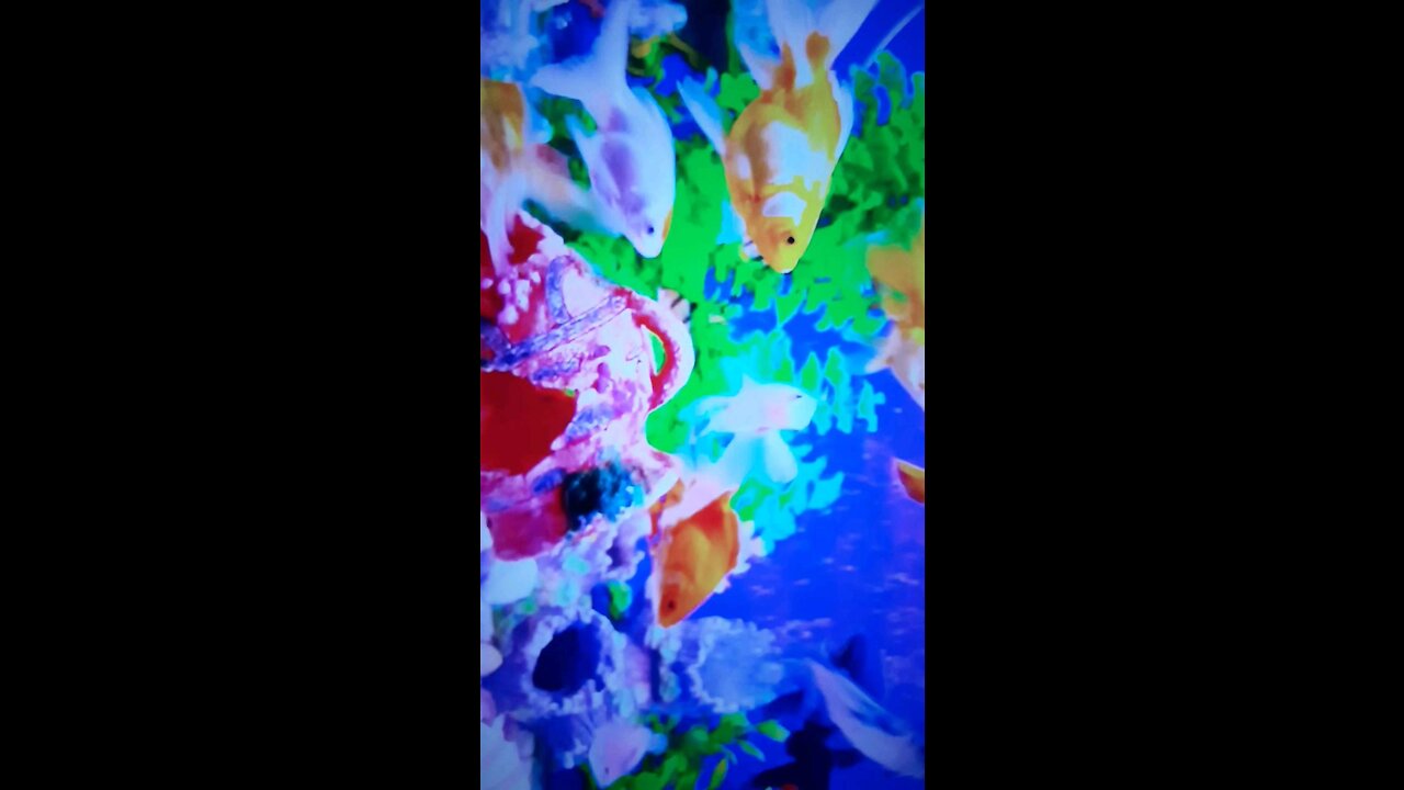 What do you think