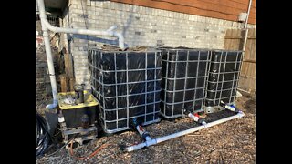 IBC Tote rain harvesting system.