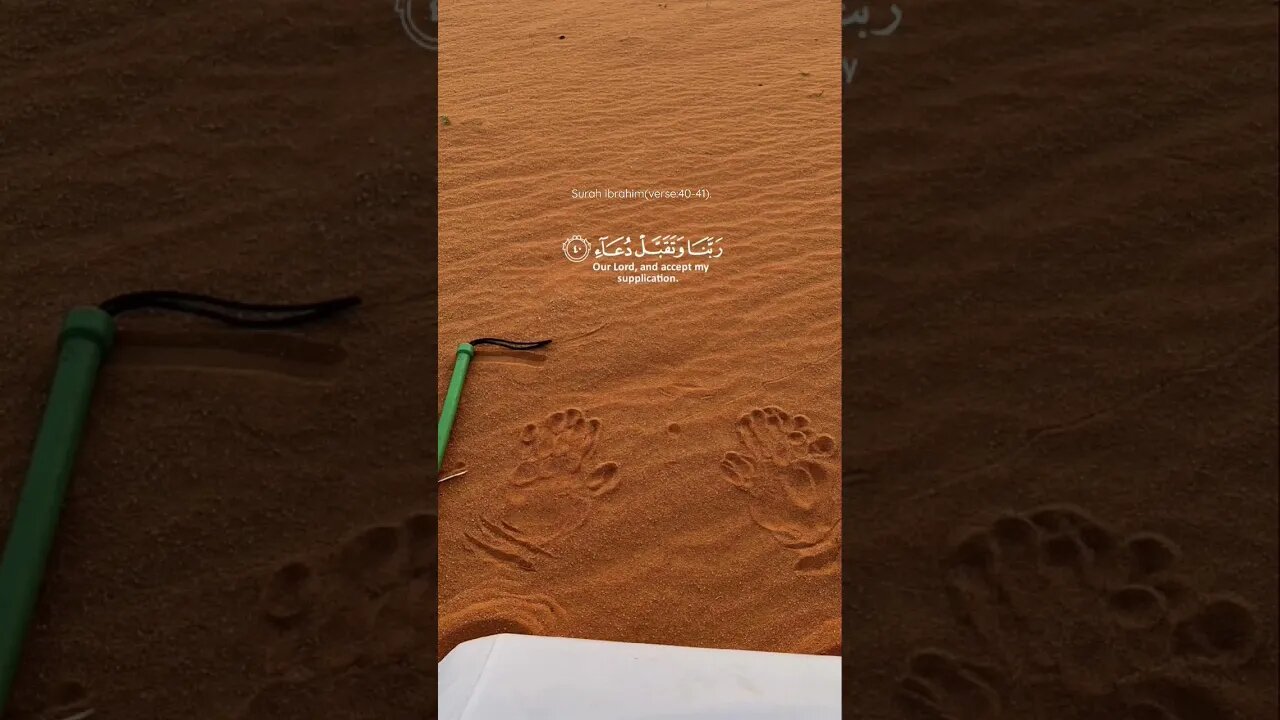 Powerful Dua for Establishing Salah: Thanking Allah for His Blessings