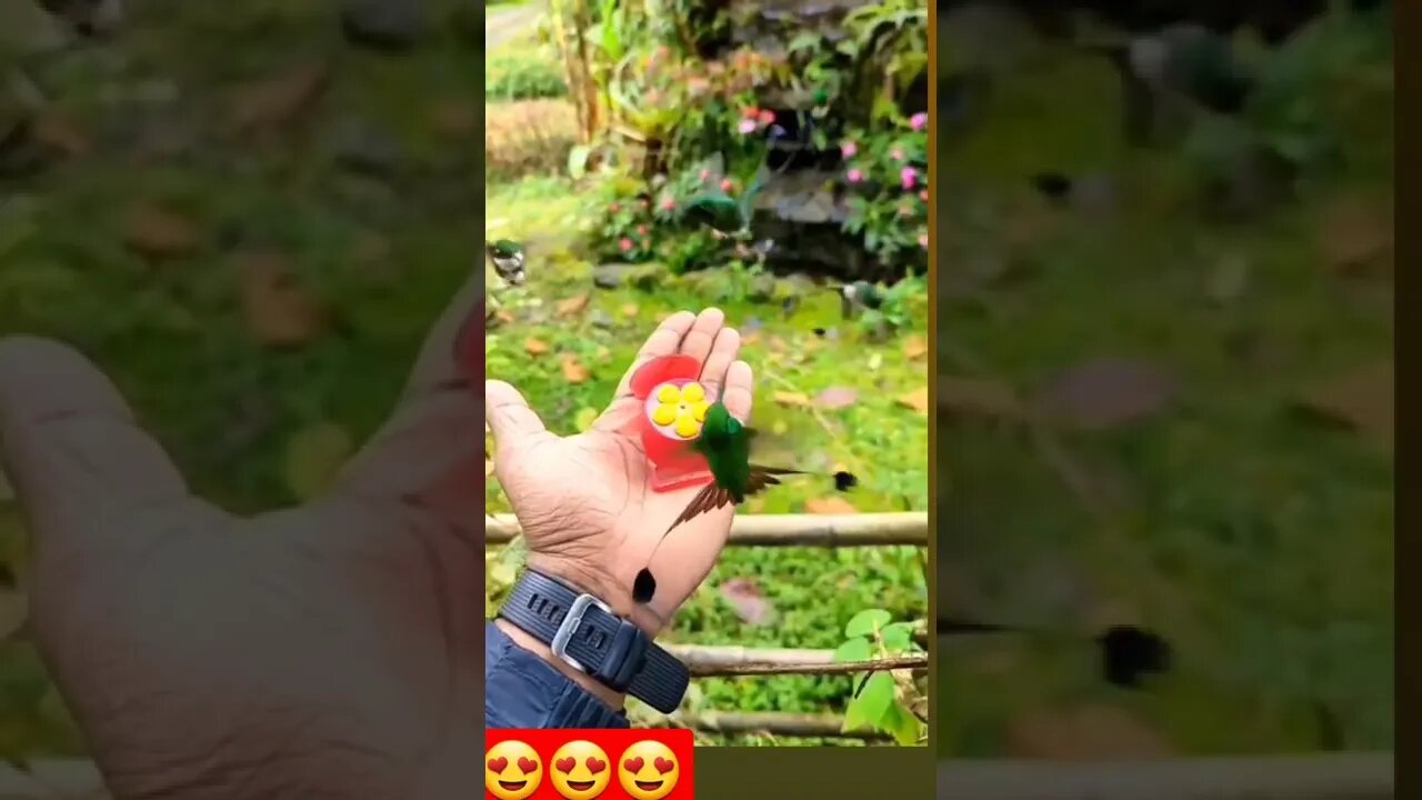 How thursty cutie pies l#shorts