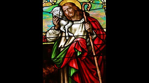 Daily Mass Reading 9-9-2024