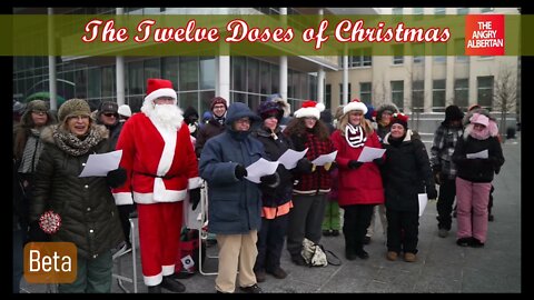 12 doses of of Christmas