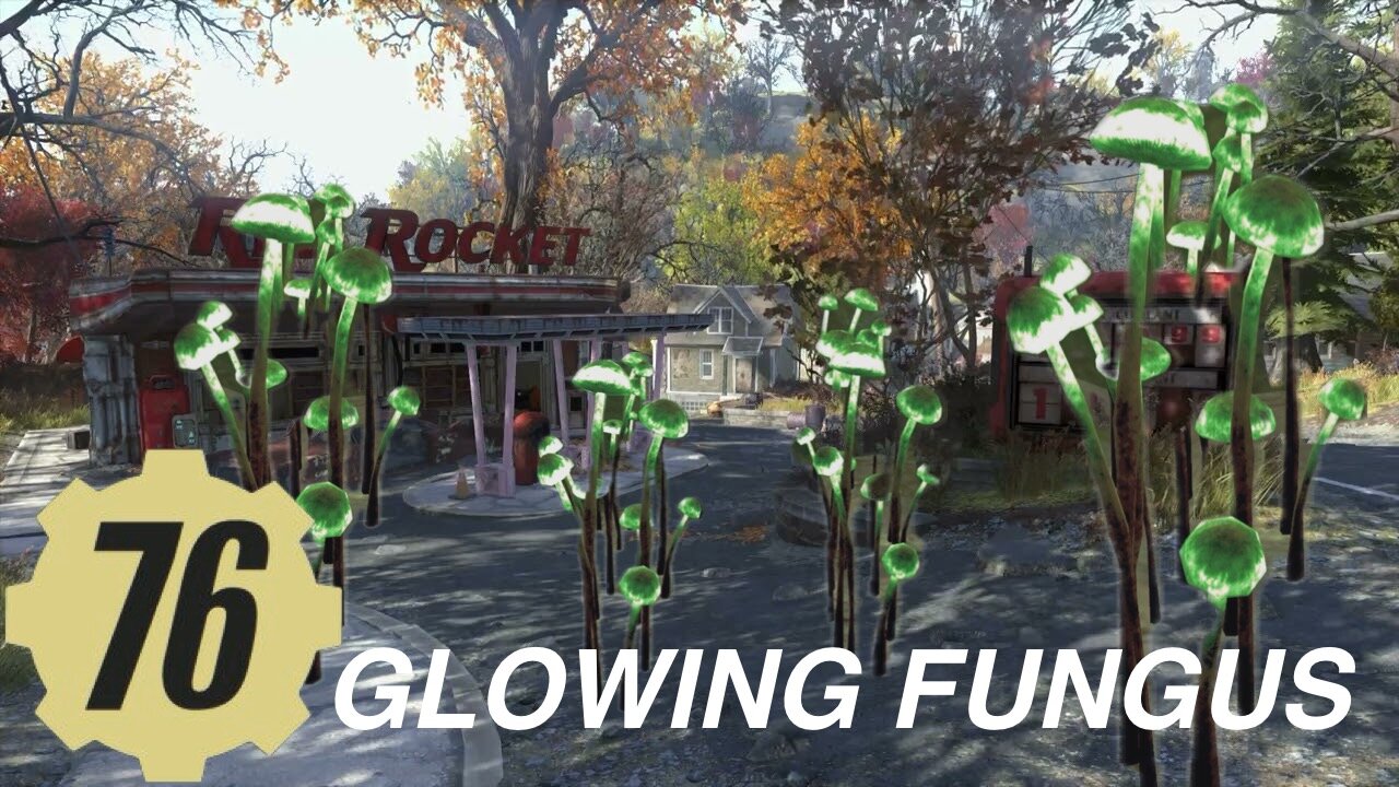 Fallout 76 GLOWING FUNGUS Locations Guide, Flora daily challenge – harvest a wild plant or fungi