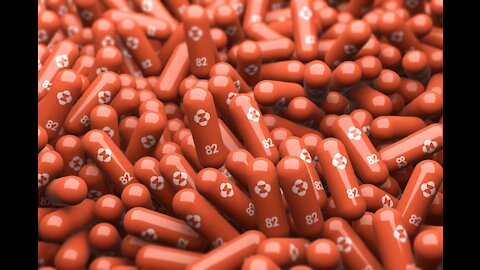 What the Merck is Going on?!