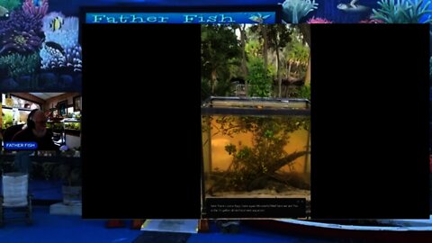 HOW TO CREATE A NATURAL FOOD WEB AQUARIUM