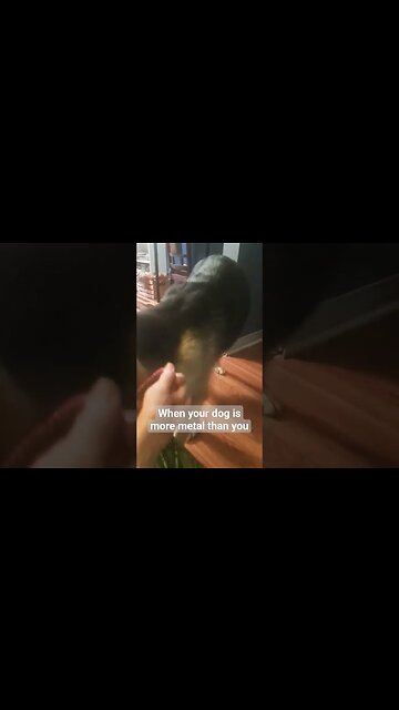 Maple is More Metal Than You