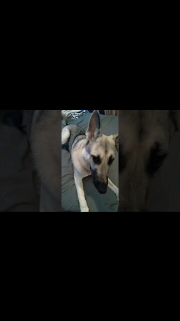 teenagers... am I right?