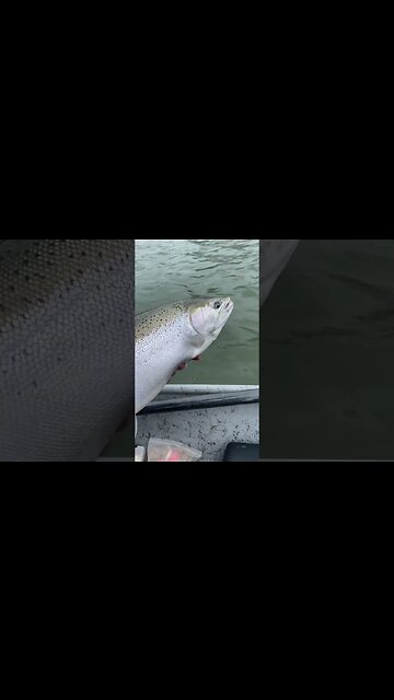 Michigan Chrome Baby! #shorts