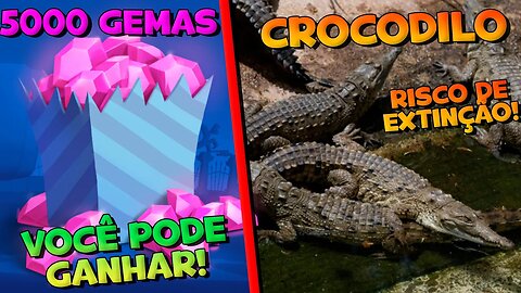 5 MIL GEMAS! SORTEIO HOJE!! VAMOS SALVAR OS ANIMAIS!! ZOOBA