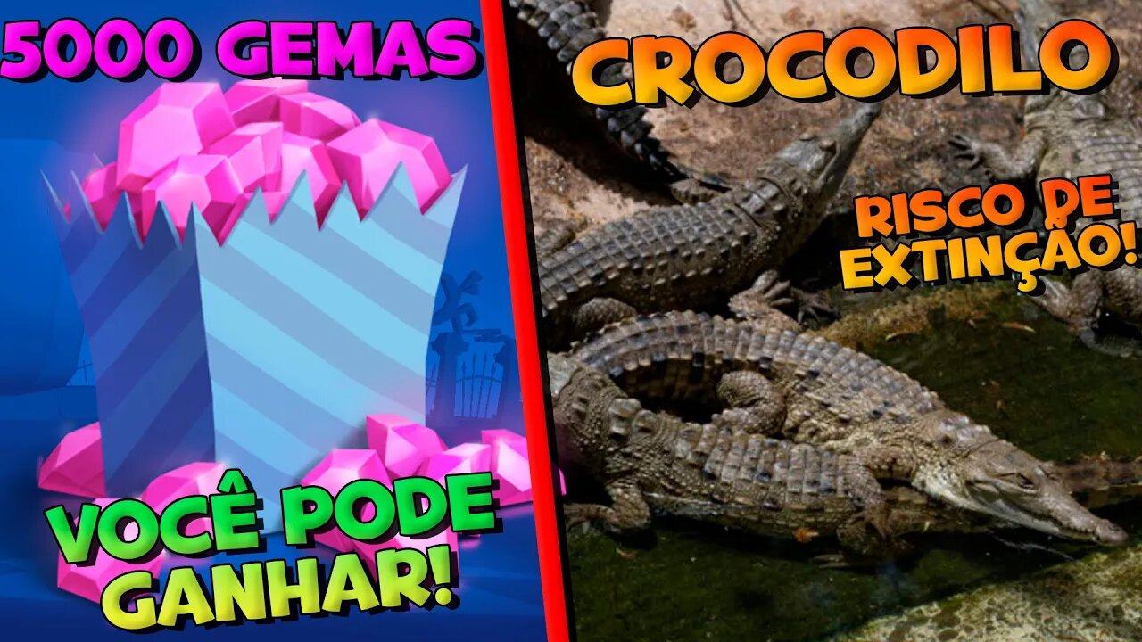 5 MIL GEMAS! SORTEIO HOJE!! VAMOS SALVAR OS ANIMAIS!! ZOOBA
