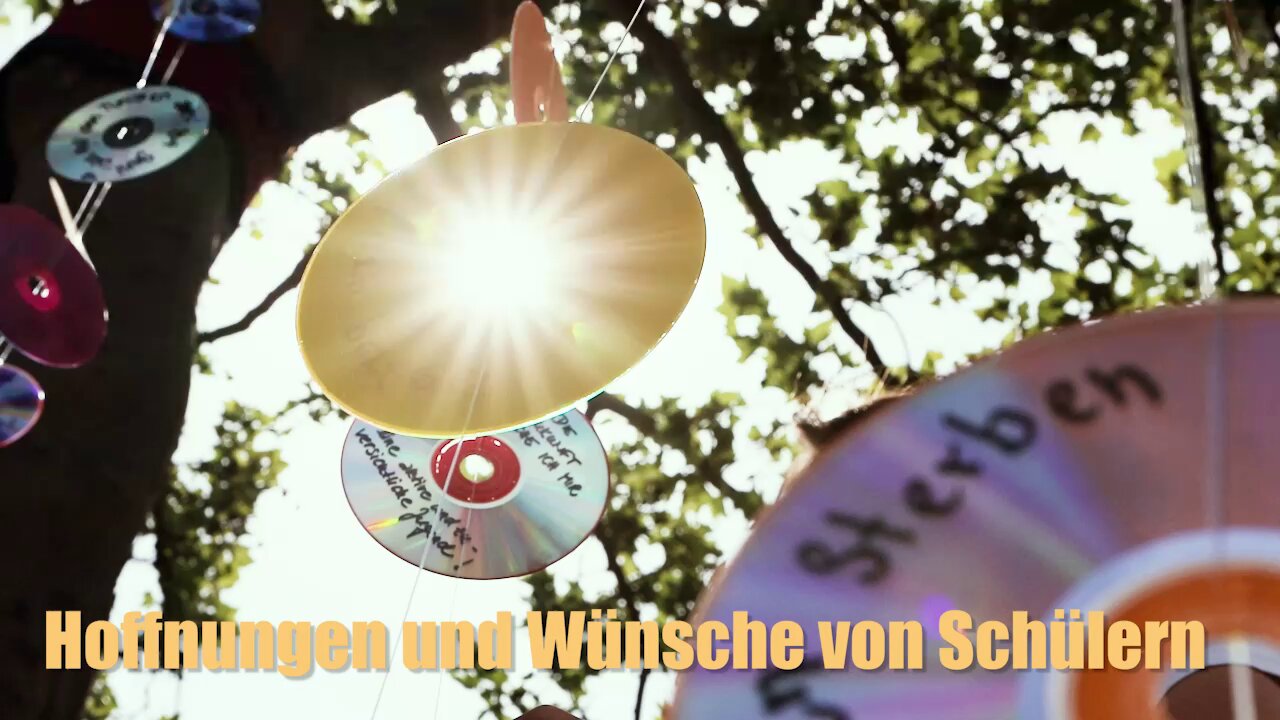 Trees of Hope 🌳🕊💙 Die entfesselte Kamera auf Entdeckungstour in Miltenberg
