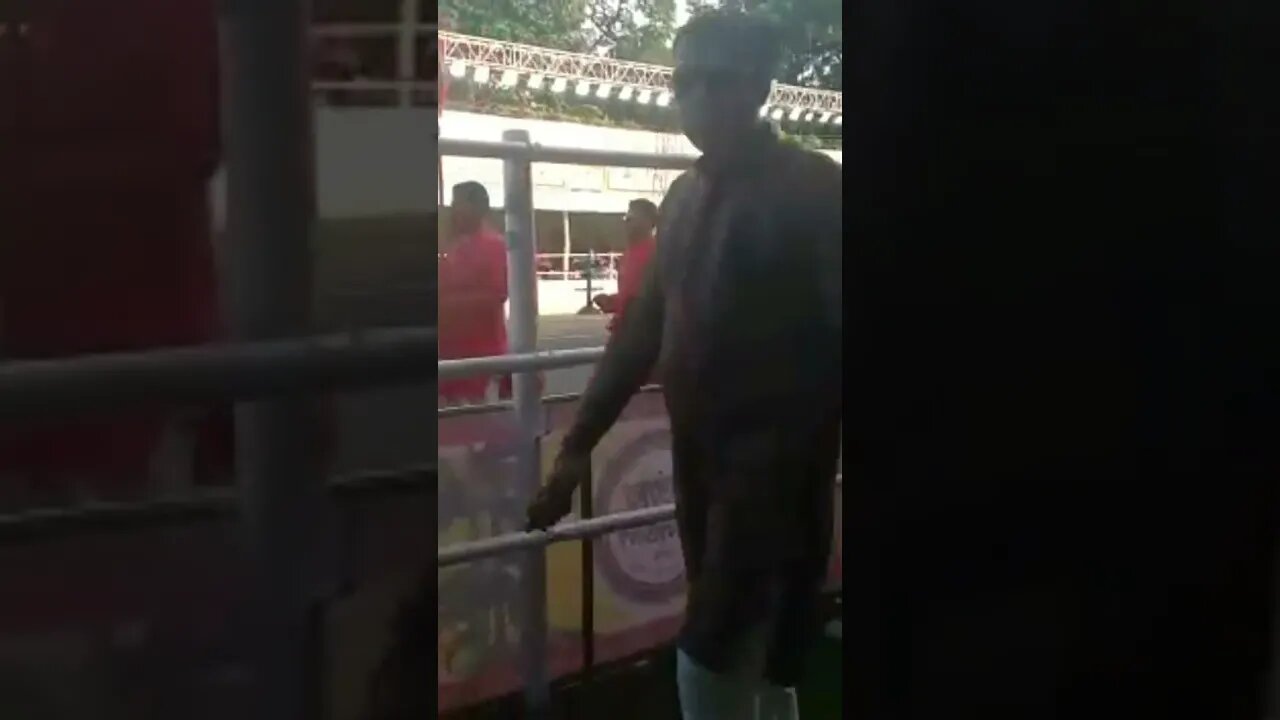 Durga Puja Festival. Shorts.