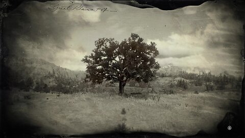 Red Dead Redemption 2 Loading Screen