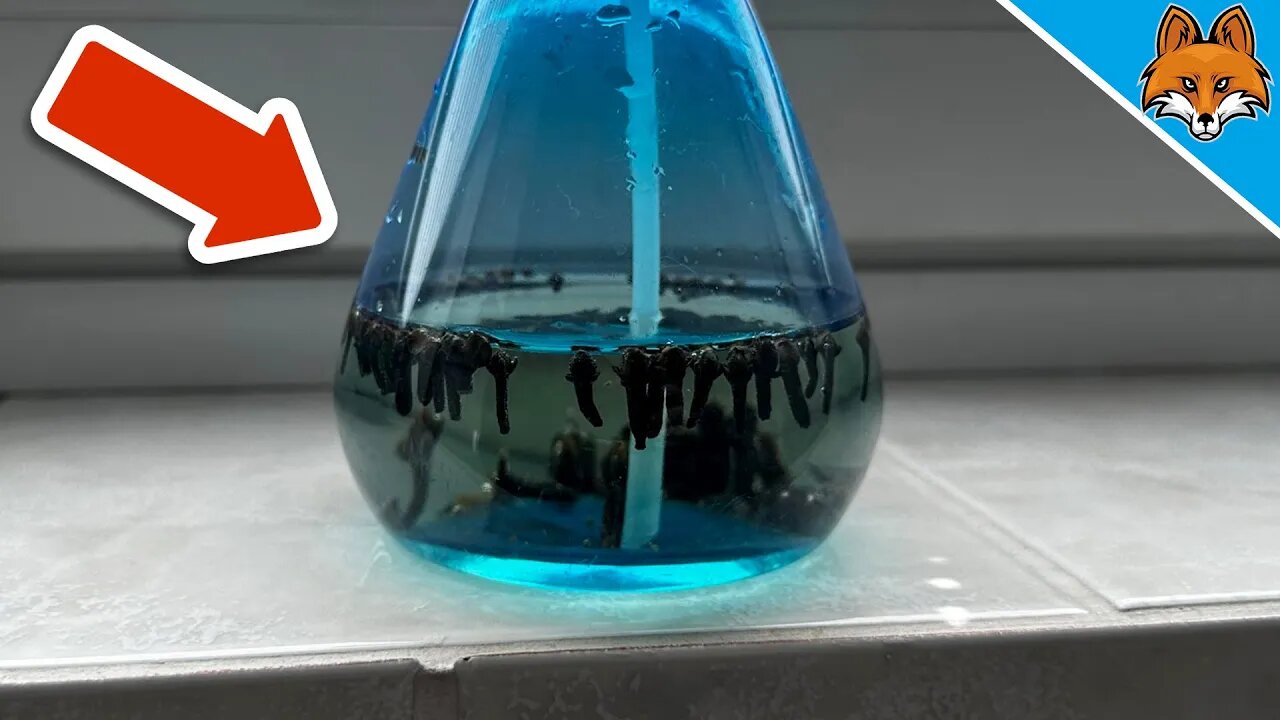 Spray your Windows with it and WATCH WHAT HAPPENS💥(Secret Trick)🤯