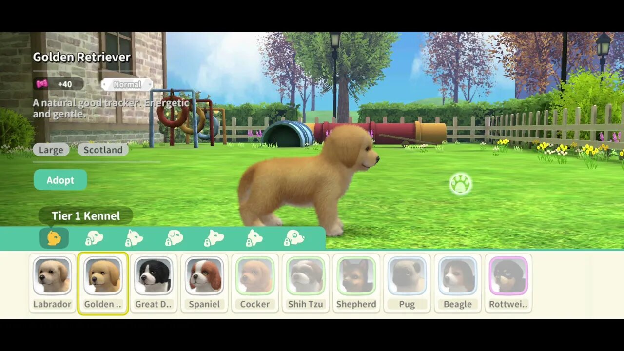 How to train a Retriever🐕